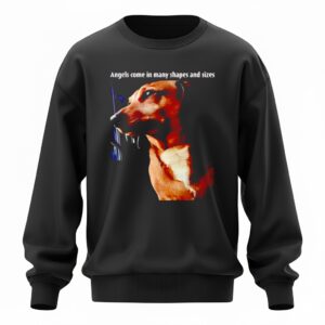 Mark Pellegrino angels come in many shapes and sizes Sweatshirt