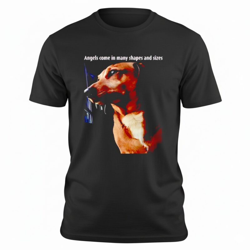 Mark Pellegrino angels come in many shapes and sizes shirt
