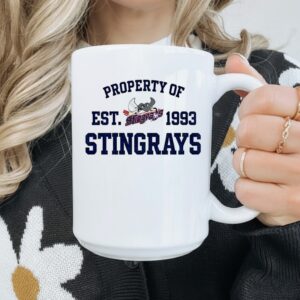 Property of Stingrays est 1993 logo vintage_Mug